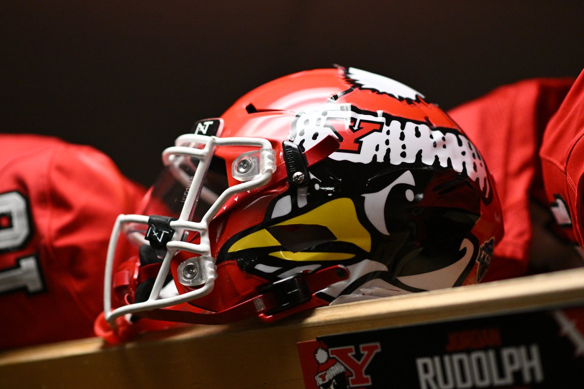 𝑻𝑯𝑬 𝑫𝑬𝑻𝑨𝑰𝑳𝑺 🐧🔴⚪️

#GoGuins