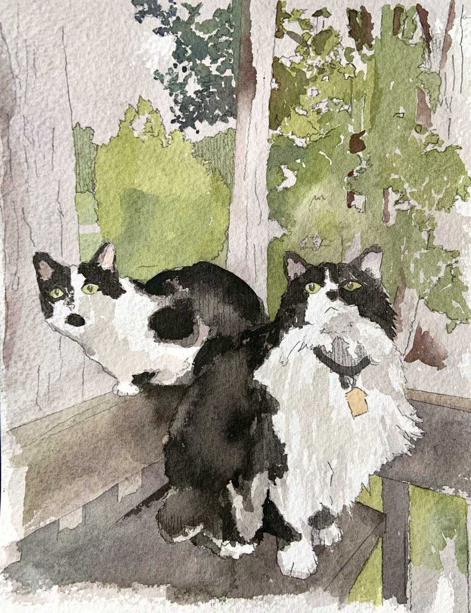 lustrous__sage's tweet photo. 2 cat! i quite like how this one turned out. one of my faves #cats #blackandwhite #commission #painting #drawing #art #artmoot #moots #watercolor #ArtistsOfTwitter #cat https://t.co/pPbA9AjQip