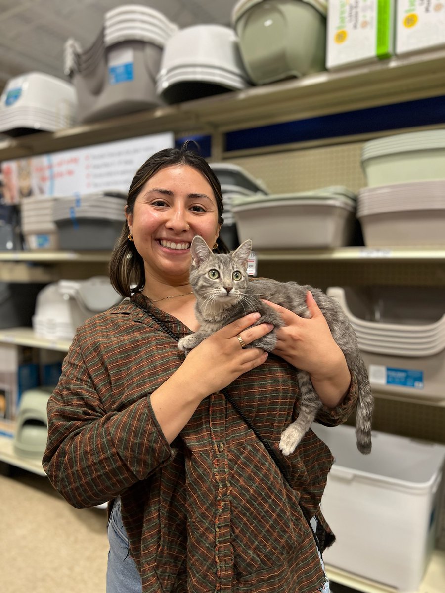 TNRVictoria's tweet photo. Darla has been adopted! https://t.co/tvrEAFkuVd