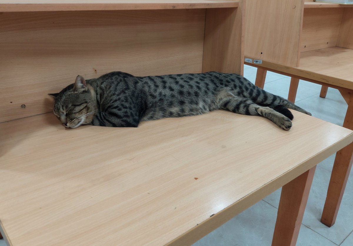 mim_typing's tweet image. مررد ما اینجا درس میخونیم آخه ..