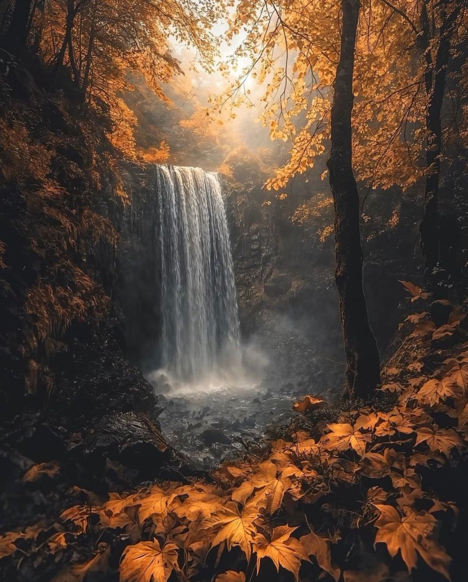earthcurated's tweet photo. Autumn Dream 🍂🍁 https://t.co/U0k8lSkmC9