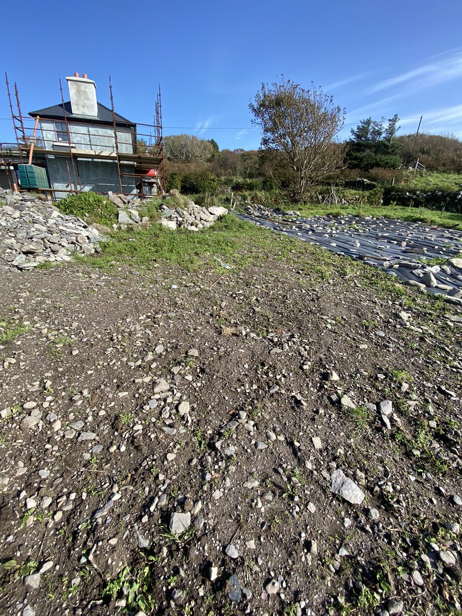 One year … and a lot of raking 😉