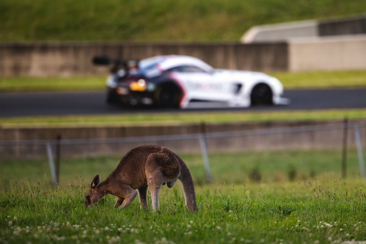 Grove Racing tweet media