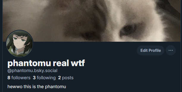 phantomu tweet media