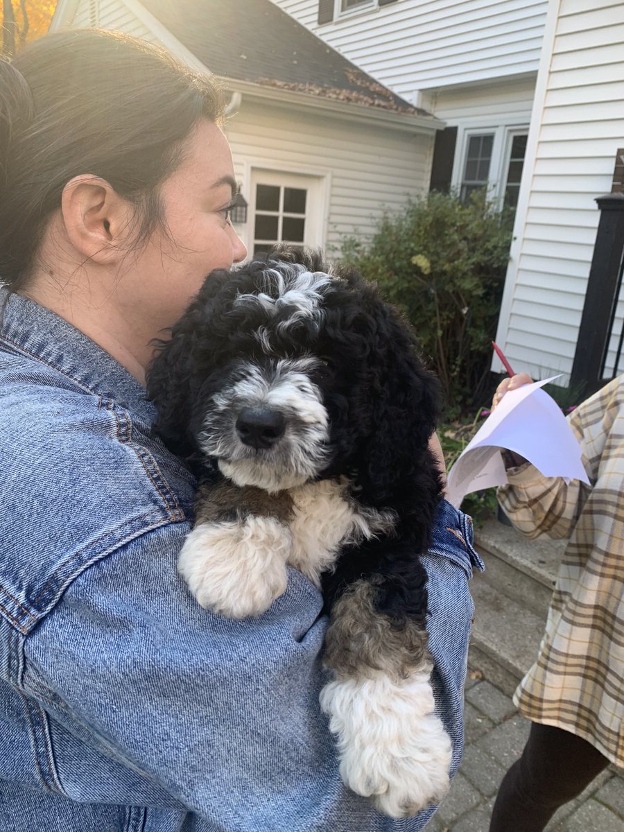 FitzyMoPena's tweet photo. 🚨ANNOUNCEMENT🚨

Everyone, say hello to Marshall! Get used to him because you’ll be seeing a lot of him. https://t.co/5psGbqL6wY