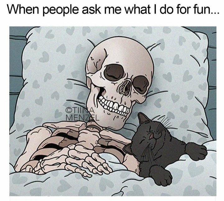 kyle_w_bird's tweet photo. Happy Caturday!!
#catsofsocialmedia #catsofinstagram #happycaturday #caturday #cats #blackcats https://t.co/zVdznb1Fox