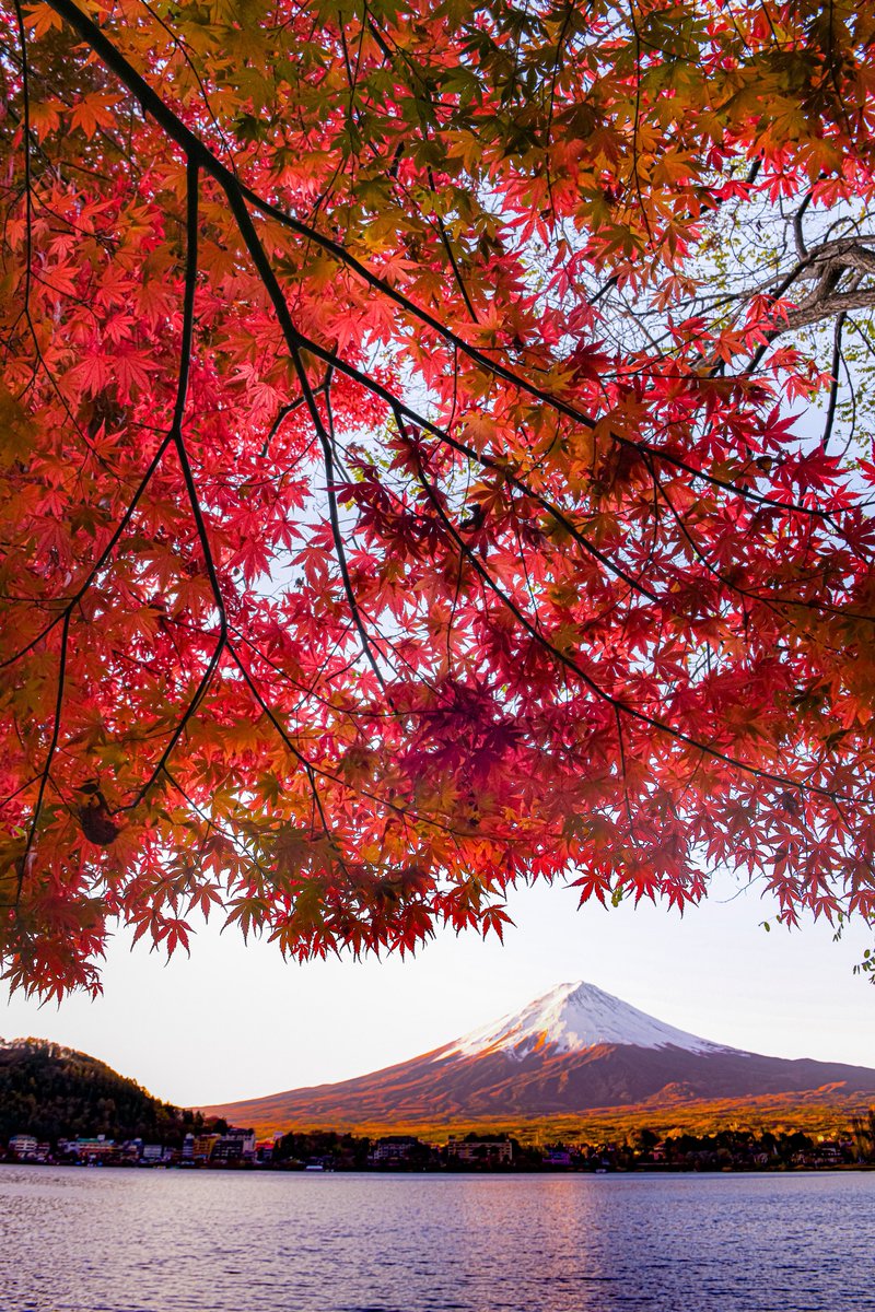 haskap1017's tweet photo. 18000いいねありがとうございます🗻
紅葉の時に撮った紅富士もどうぞ🍁 https://t.co/sqbKtNvVHG