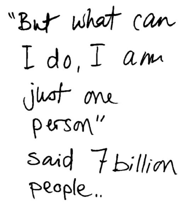 stuart wilson 🌸🇬🇧 tweet media