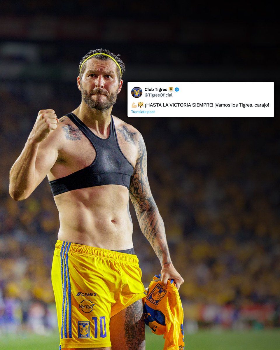 TigresOficial's tweet photo. 💪🏼 ¡SOMOS LA U, LOS MÁS CAMPEONES DE NUEVO LEÓN! https://t.co/3lmy7T36B2