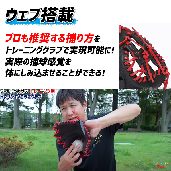 ワールドペガサス トレーニンググラブ トクサンtvコラボ