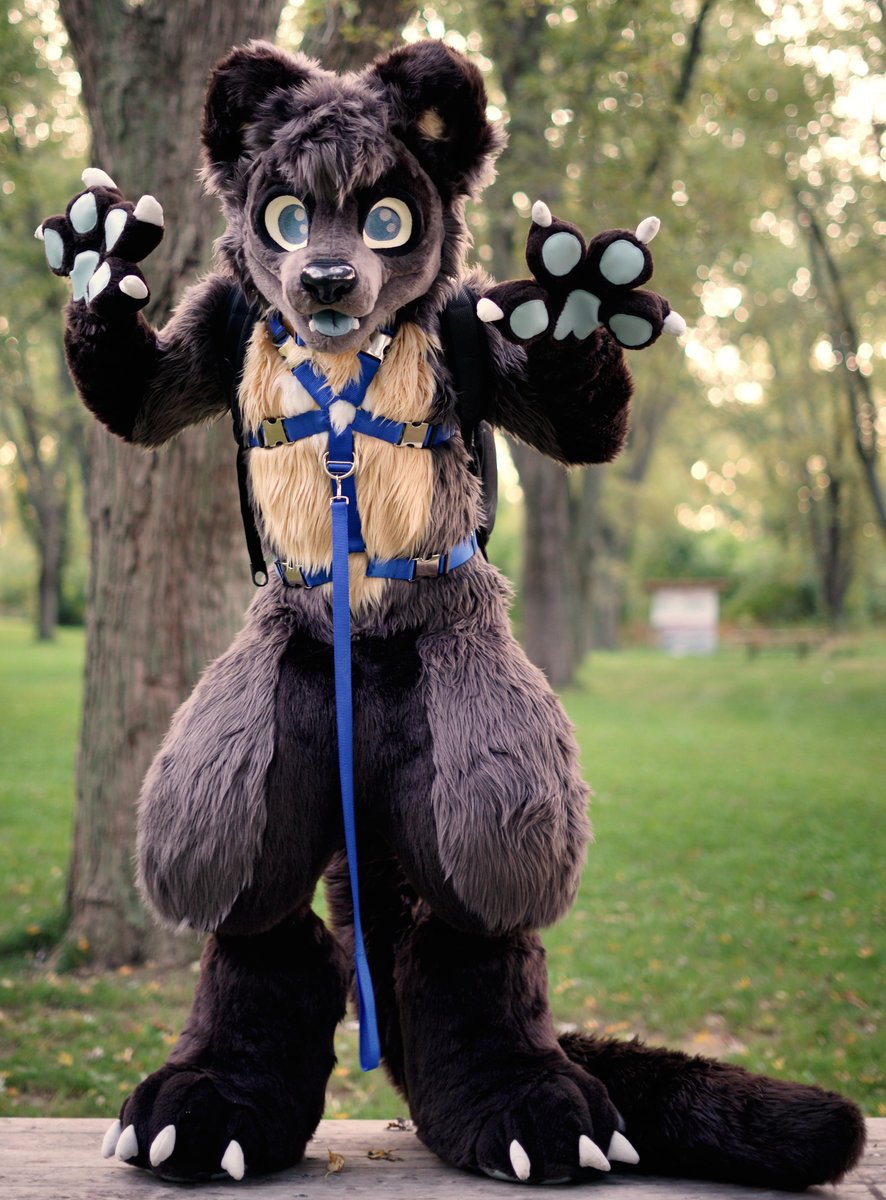 Davison 🧠👈 (@DavisonVideo)  X