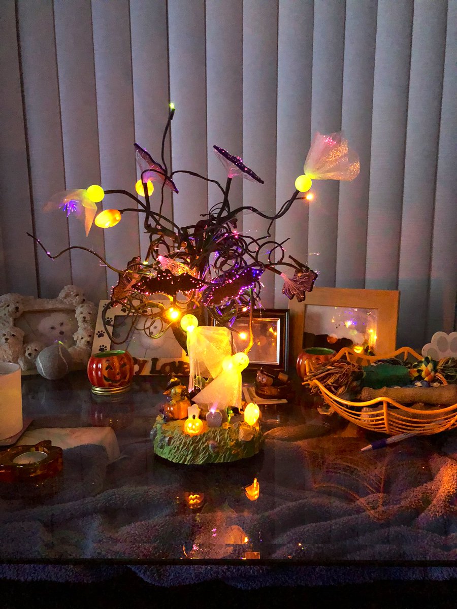 Jaxcarly0612's tweet photo. Wellโฆ itโs that time! ๐ Time to watch #Halloween Mom loves #MichaelMyers ๐ช๐๐ป She even broke out the #HalloweenTree๐คญ๐ Hope everyone is having a good evening!๐ซโค๏ธ๐ Ohhh, and she lit candles ๐ฏ๏ธ๐ #SaturdayNightโจ๐ค #HalloweenTime๐๐ป๐๐ https://t.co/VoRKVa9X7U