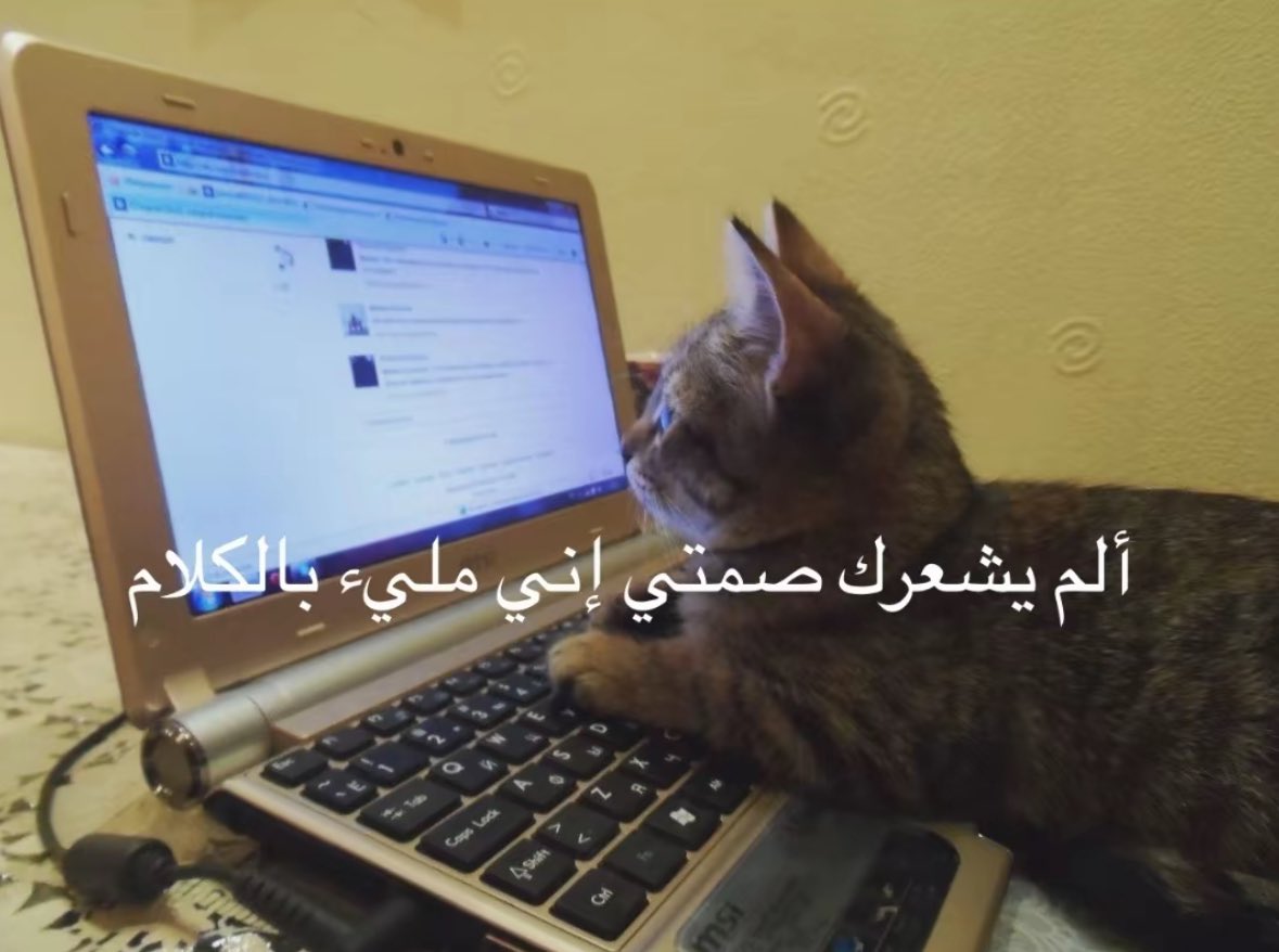 𝘼𝙡ᰔ𝙉𝘼 (@lounaiiu) on Twitter photo 