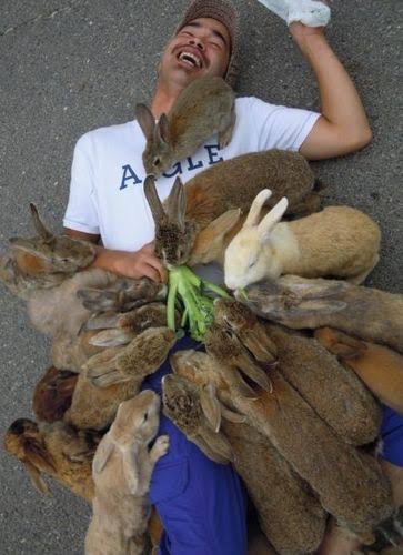 unidoconhecimen's tweet photo. A história da ilha dos coelhos no Japão🐰

1/ Hoje, Ōkunoshima é famosa pelos coelhos que habitam a ilha e encantam turistas. Mas, por trás desse cenário adorável, há um passado sombrio ligado à Segunda Guerra Mundial. Vamos descobrir mais sobre essa ilha única.👇 https://t.co/dr3SzUORr9