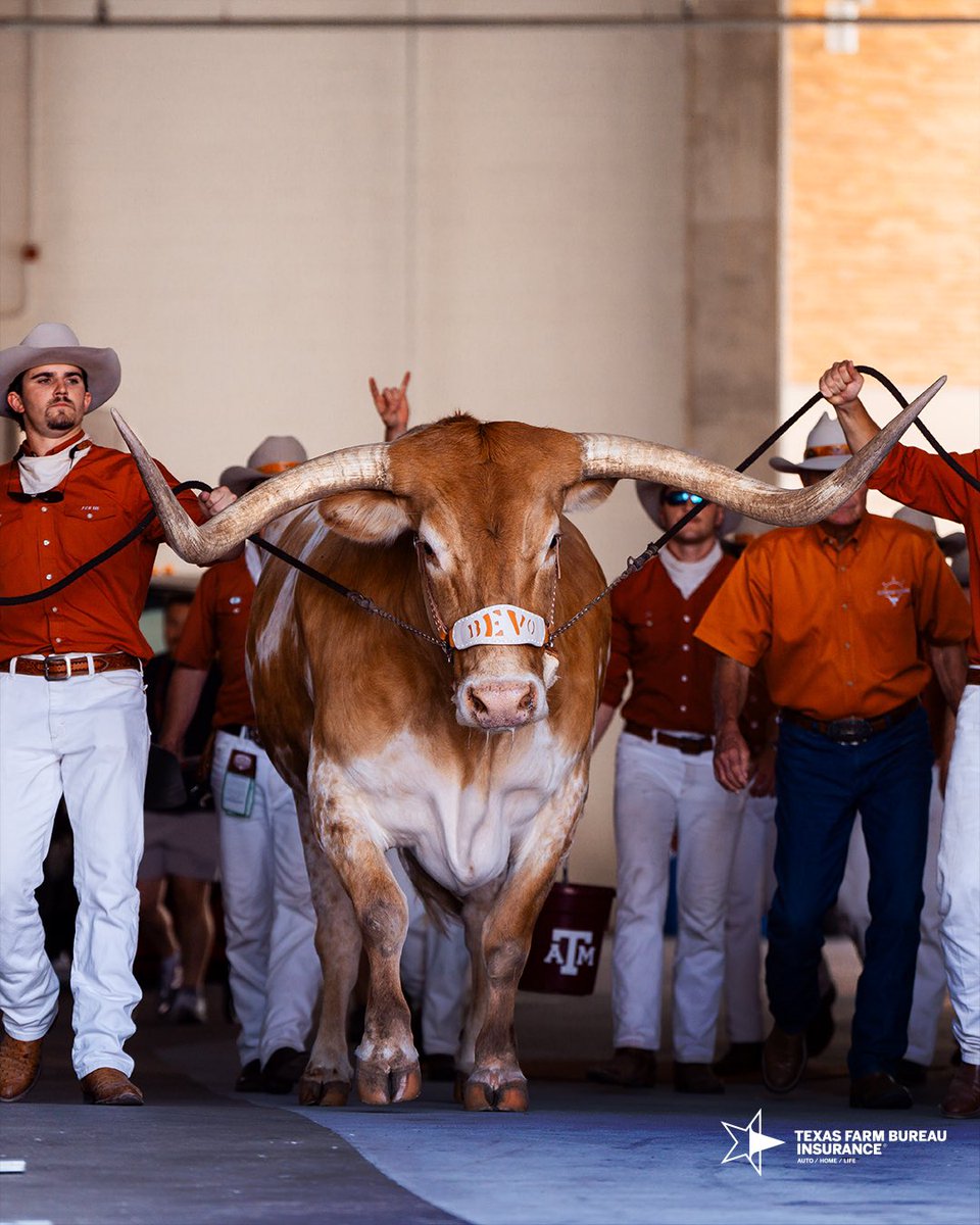 it’s Bevo’s world 🤘

#HookEm | <a href="/TXFBinsurance/">Texas Farm Bureau Insurance</a>