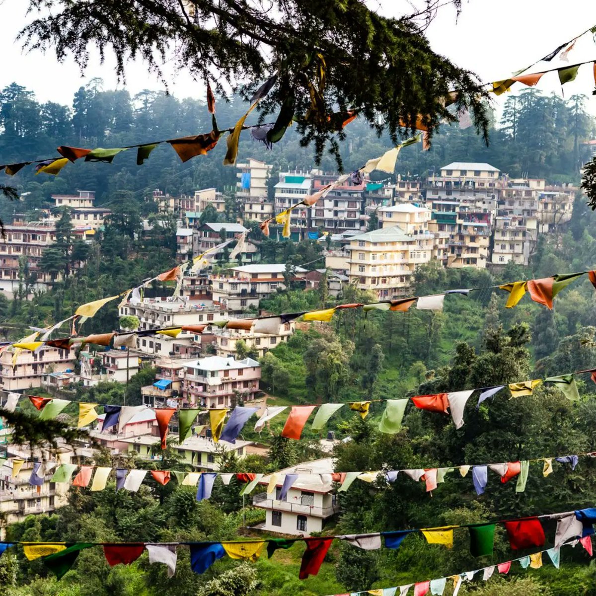 Alexander_R_Kay's tweet photo. INDIA HIMALAYAS EXPEDITION || Cultural encounters.

Ancient traditions, pristine alpine forests, enchanting cricket stadium, host of Tibetan Buddhism, current residence of Dalai Lama.

The Dhauladhar Range is a captivating region of Himachal Pradesh.

@Alexander_R_Kay #Culture https://t.co/Lp3nk3Kd4a