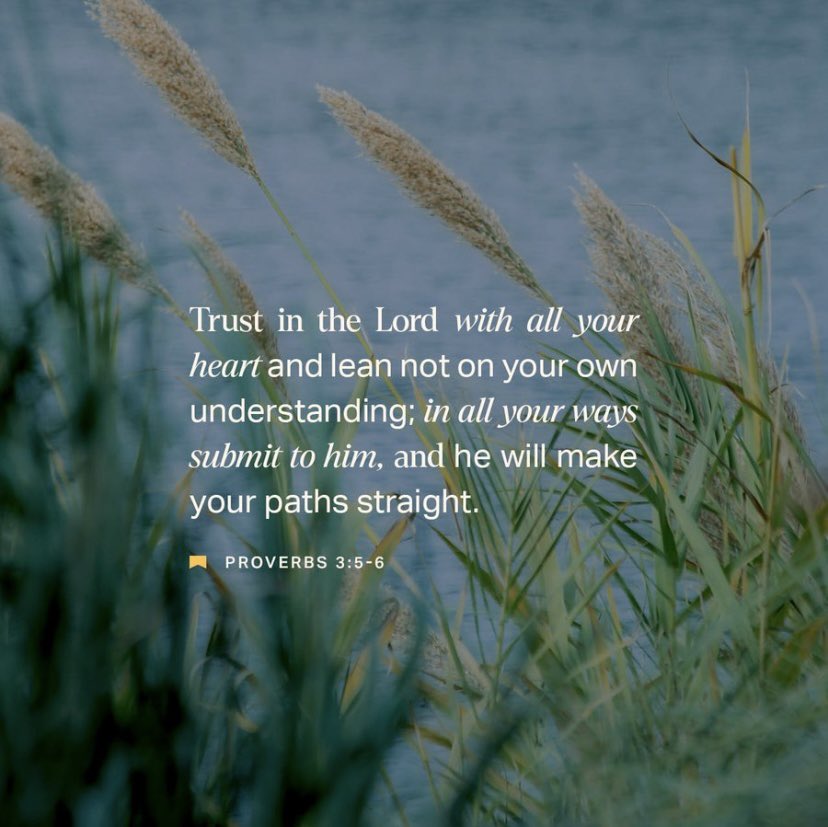 Basir Hydara (@basirhydar47556) on Twitter photo 