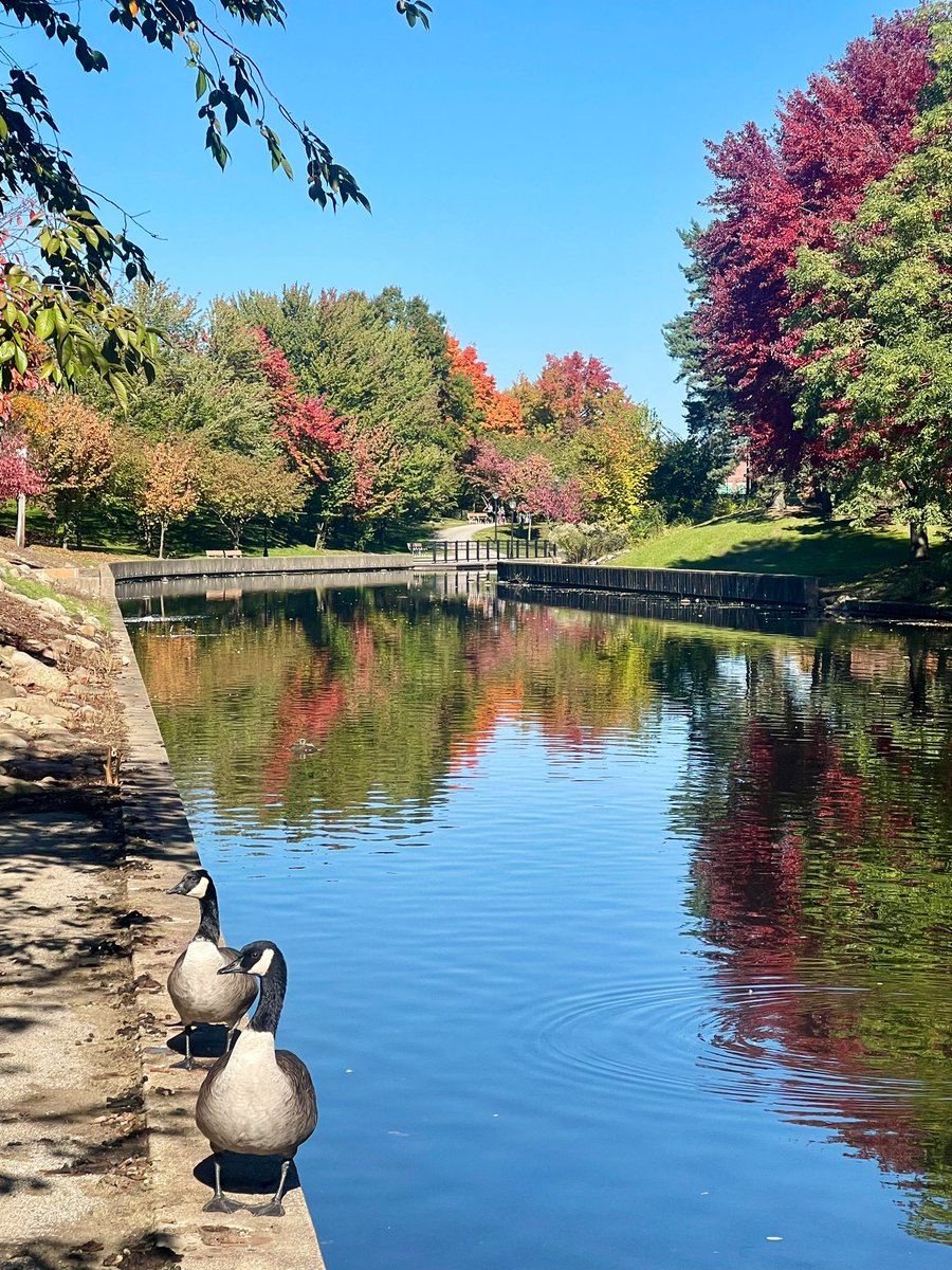 Carrie Rubin tweet media