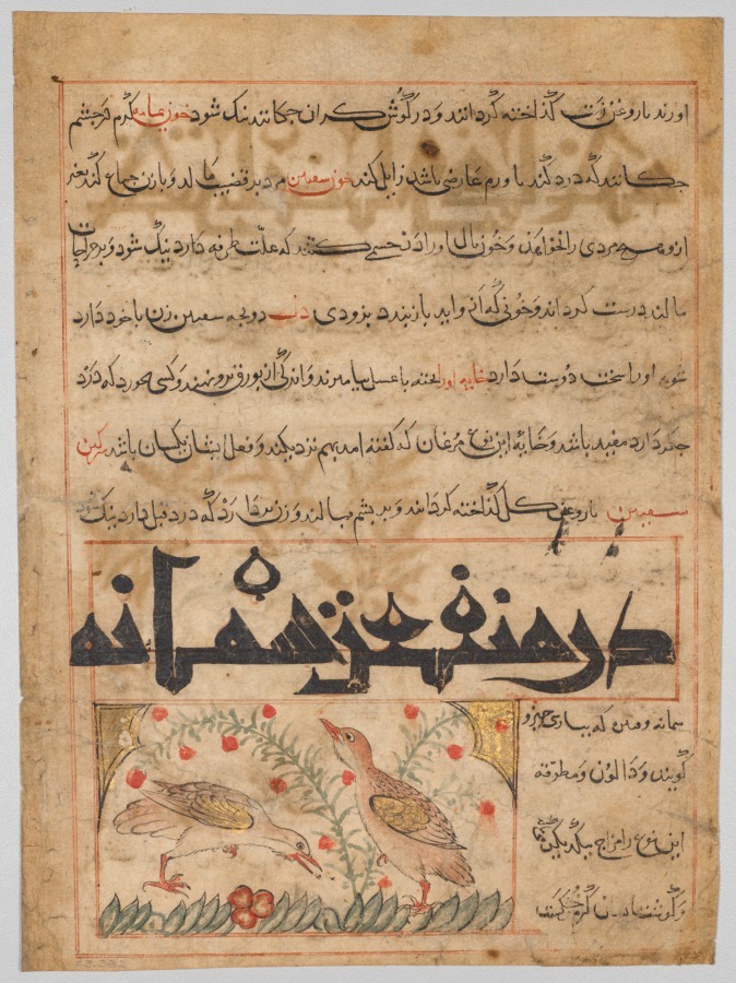 On the Benefits of Quails (verso) from a Manafi' al-Hayawan (On the Usefulness of Animals) of Ibn Bakhtishu' (d. 1058) clevelandart.org/art/1945.382.b