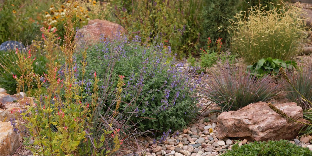HCGPlants's tweet photo. It's time to get ready for next year. 

Tap the link below to learn ten key tips for the fall garden.
https://t.co/RqjxuQGPiN

 #FallGarden #GardeningTips #GardenPrep #SustainableGardening https://t.co/tC2uepVdw1
