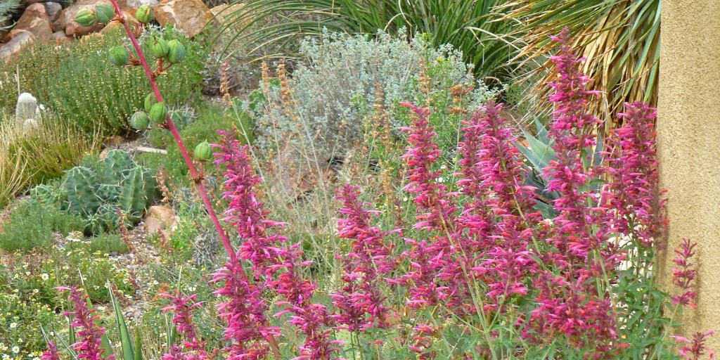 It's time to get ready for next year. 

Tap the link below to learn ten key tips for the fall garden.
ow.ly/PhOM50TL7Uo

 #FallGarden #GardeningTips #GardenPrep #SustainableGardening