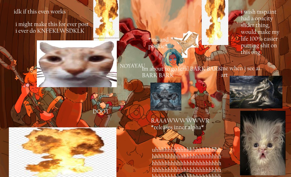 Noya 🐟 tweet media