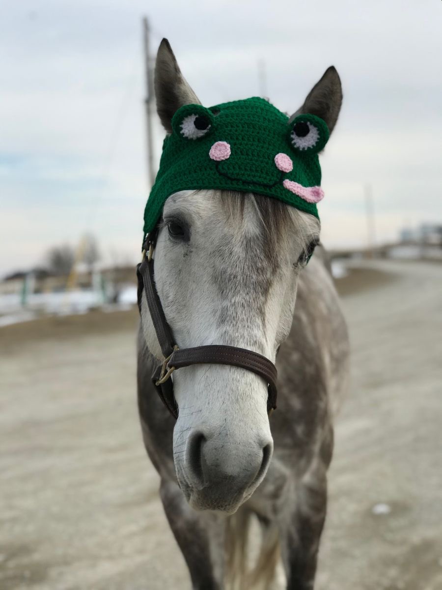 horse wearing crocheted frog hat warm and whimsical headwear perfect for the chilly weather