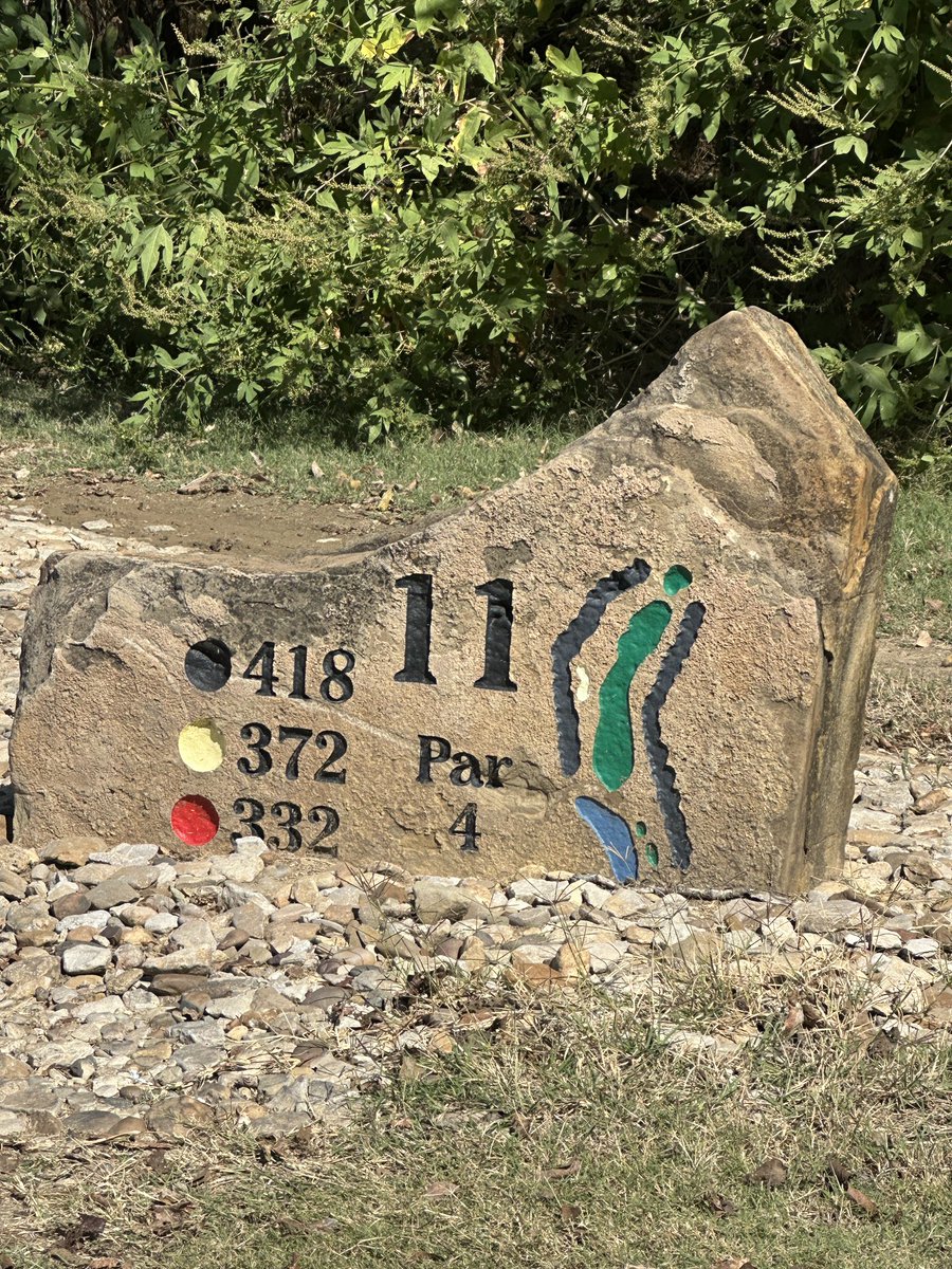 Dragn73's tweet photo. Rd 47 Hole 11
Par 4 - 372 yds
My score: 6 (Double)
VS thru 11: +8
#NikeStrong #DaisyStrong
Grossโฆ https://t.co/uqHtHr94lx