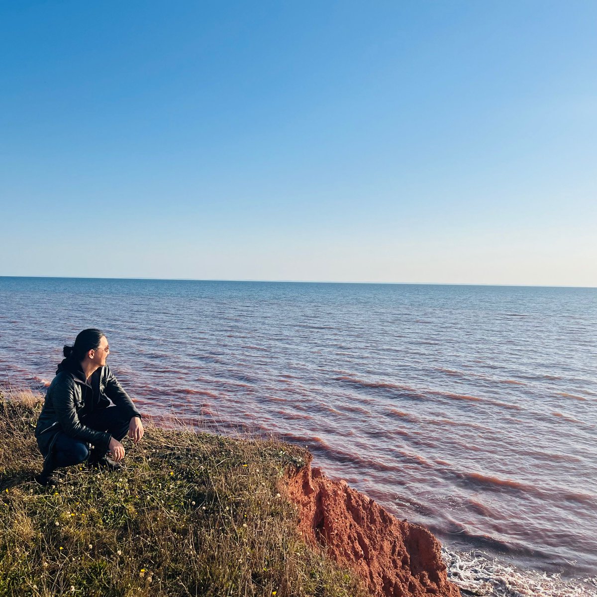 tweetsuro's tweet photo. I'm in PEI to deliver a keynote on how theatres can engage their rapidly growing immigrant communities. Name me a STRONG Canadian play that would appeal to either...
1) Mandarin-speaking Chinese,
2) or Punjabi-speaking Indians,
3) or Filipinos. 
All these groups can speak English https://t.co/gE25kNOJdN