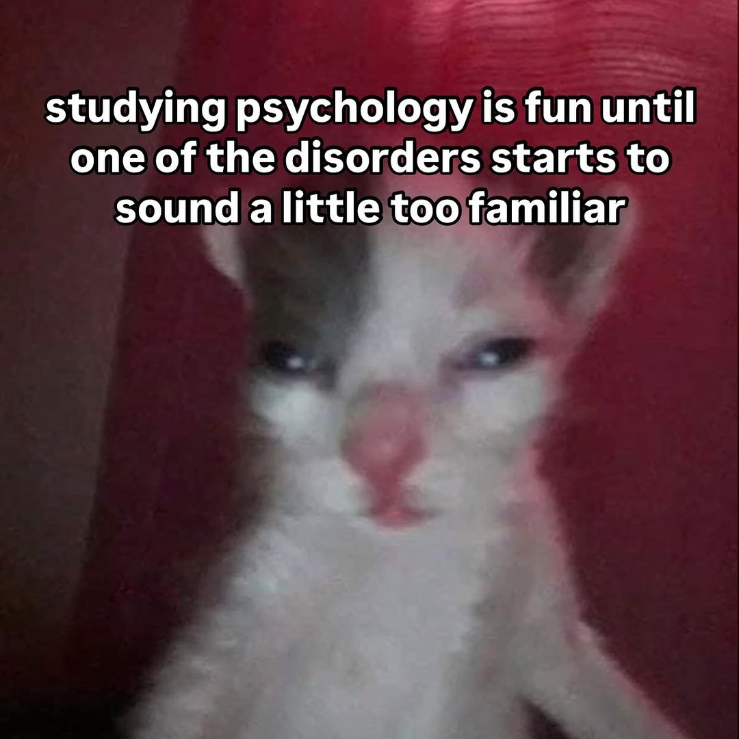 Catsillyness's tweet photo. Sounds familiar https://t.co/jzz09VjmMW