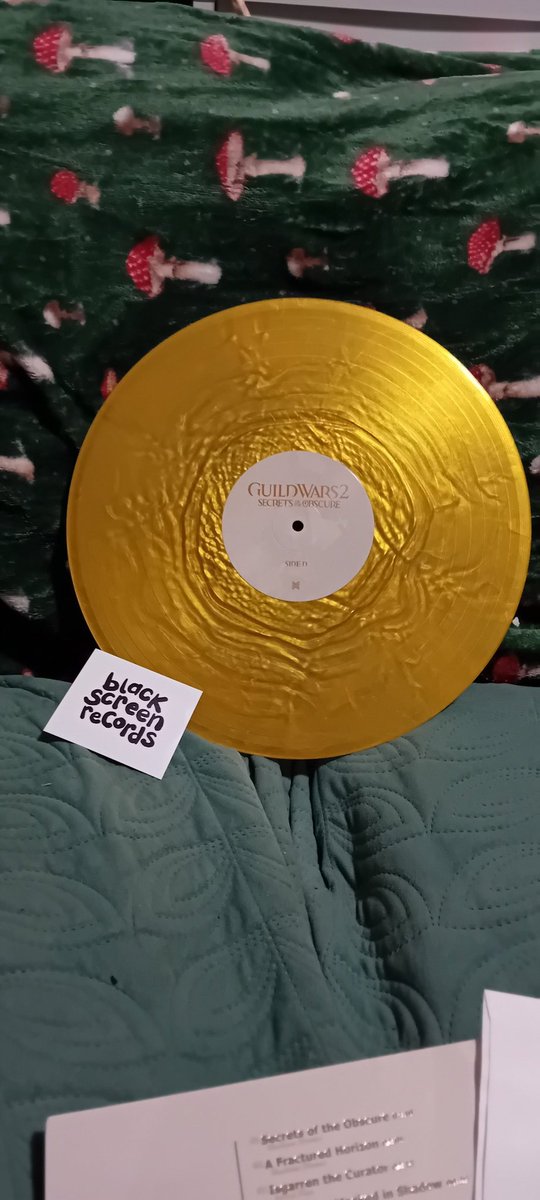 CharGwyl's tweet photo. My SotO vinyl arrived today and it's absolutely gorgeous! ❤️ So happy to add this to my collection 😄 https://t.co/UB3fooYaO4