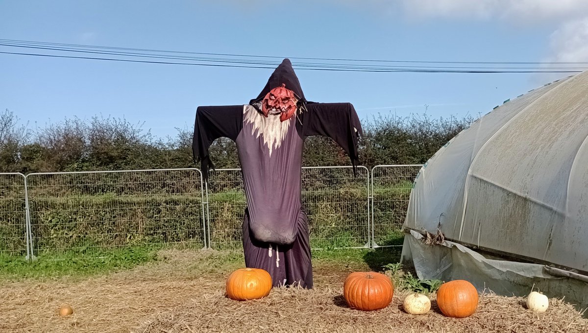 #FMSPAD 18/10 Season: Apparently it's the time of year to let your balls hang low #FMS_Season