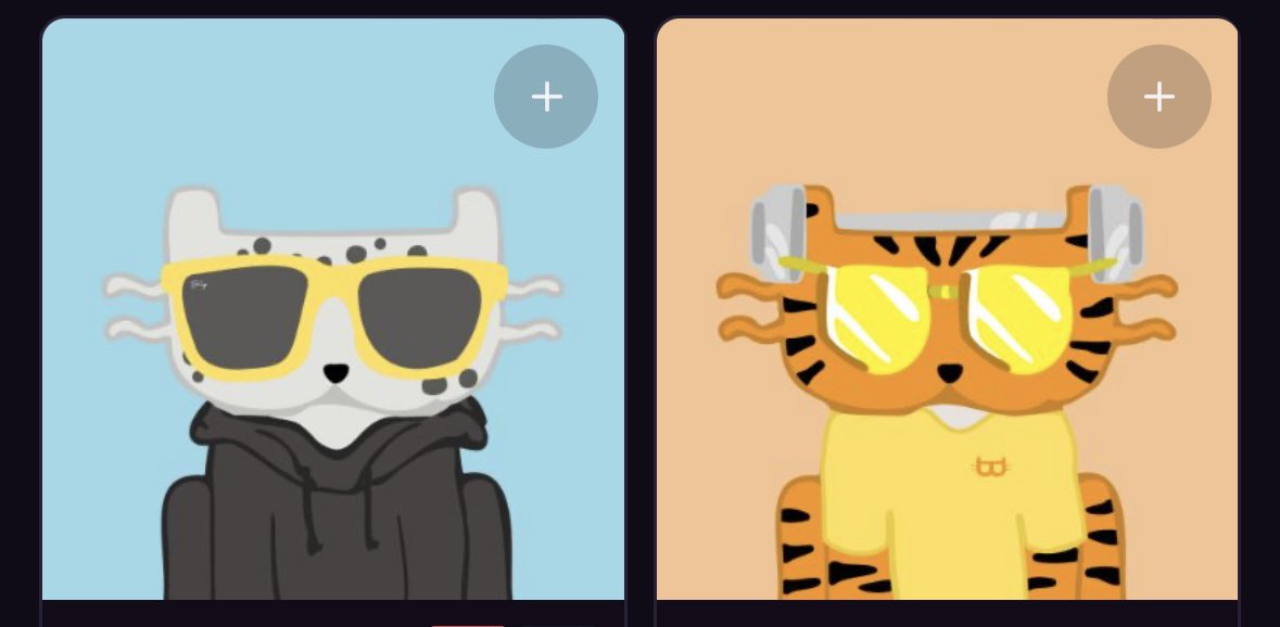 SolGoddess_LA's tweet photo. @GizmothecatBTC @thebillycats 
CAT is the alpha for this cycle (I heard) 🐈🙀#CaturdaySaturday https://t.co/yCvNcjmzUd