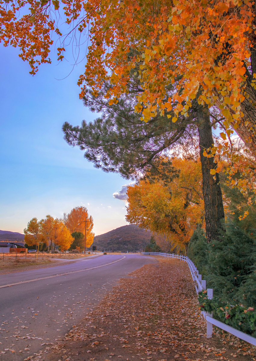 ComerComer5's tweet photo. @hpphotograf From San Diego county. We get some fall colors! 🍁🍂 https://t.co/cuM9rCCyZ5