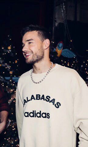 louismoon91's tweet photo. Liam's body 
El cuerpo de Liam 
Fotos de Liam Payne https://t.co/eoJHFakDX4