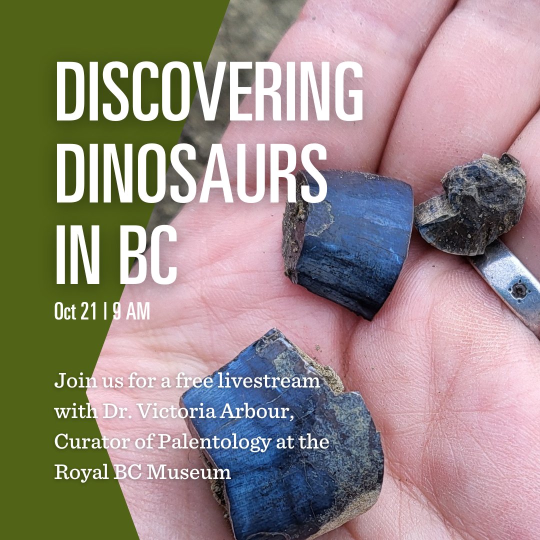 🦖 Freshly returned from the field, Dr. Victoria Arbour, Curator of Paleontology at the Royal BC Museum, will be hopping online to tell us what she and her team discovered this past summer in northern BC! 
bit.ly/3ZIbjlP