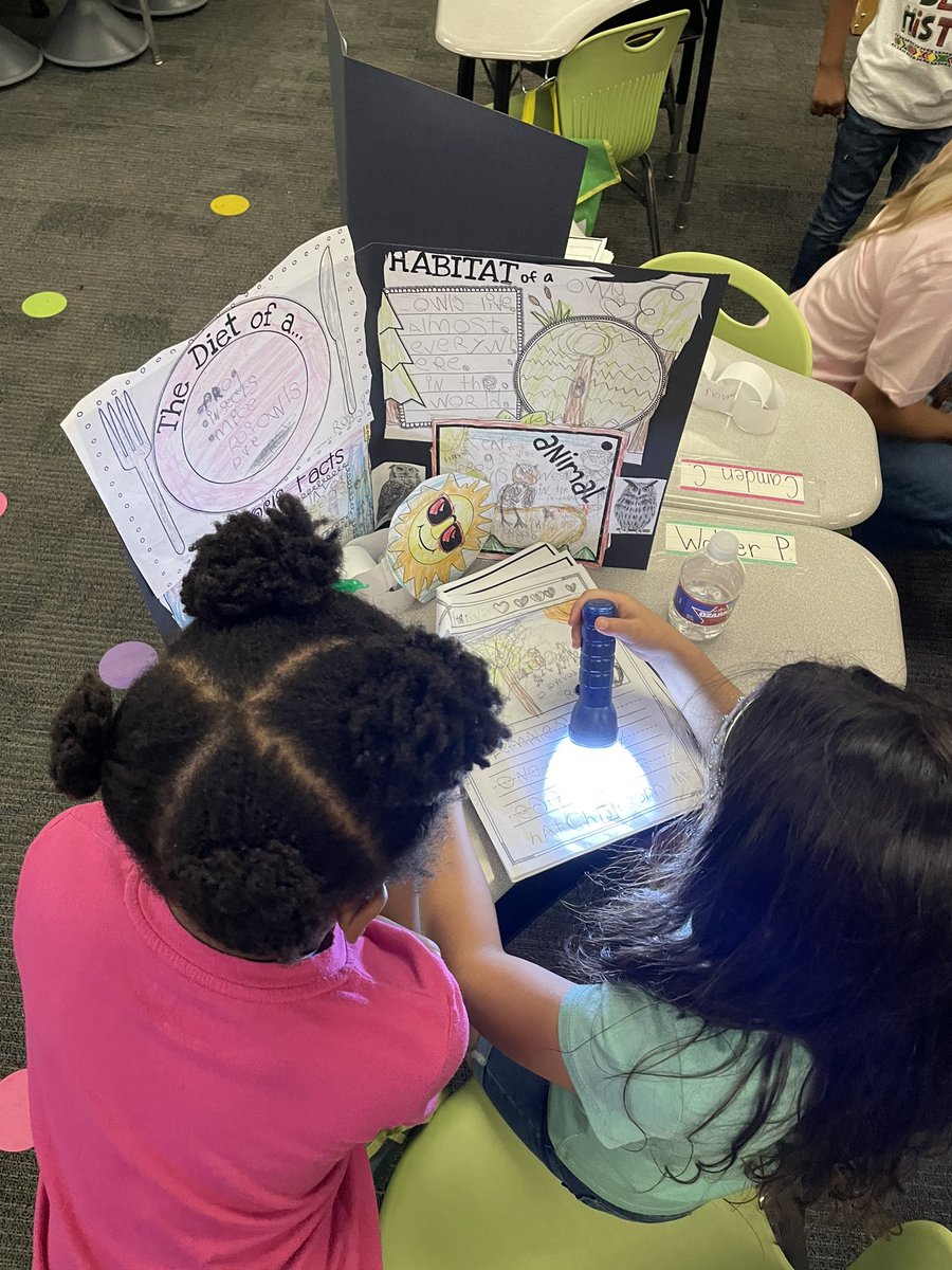 Ms Meath tweet media