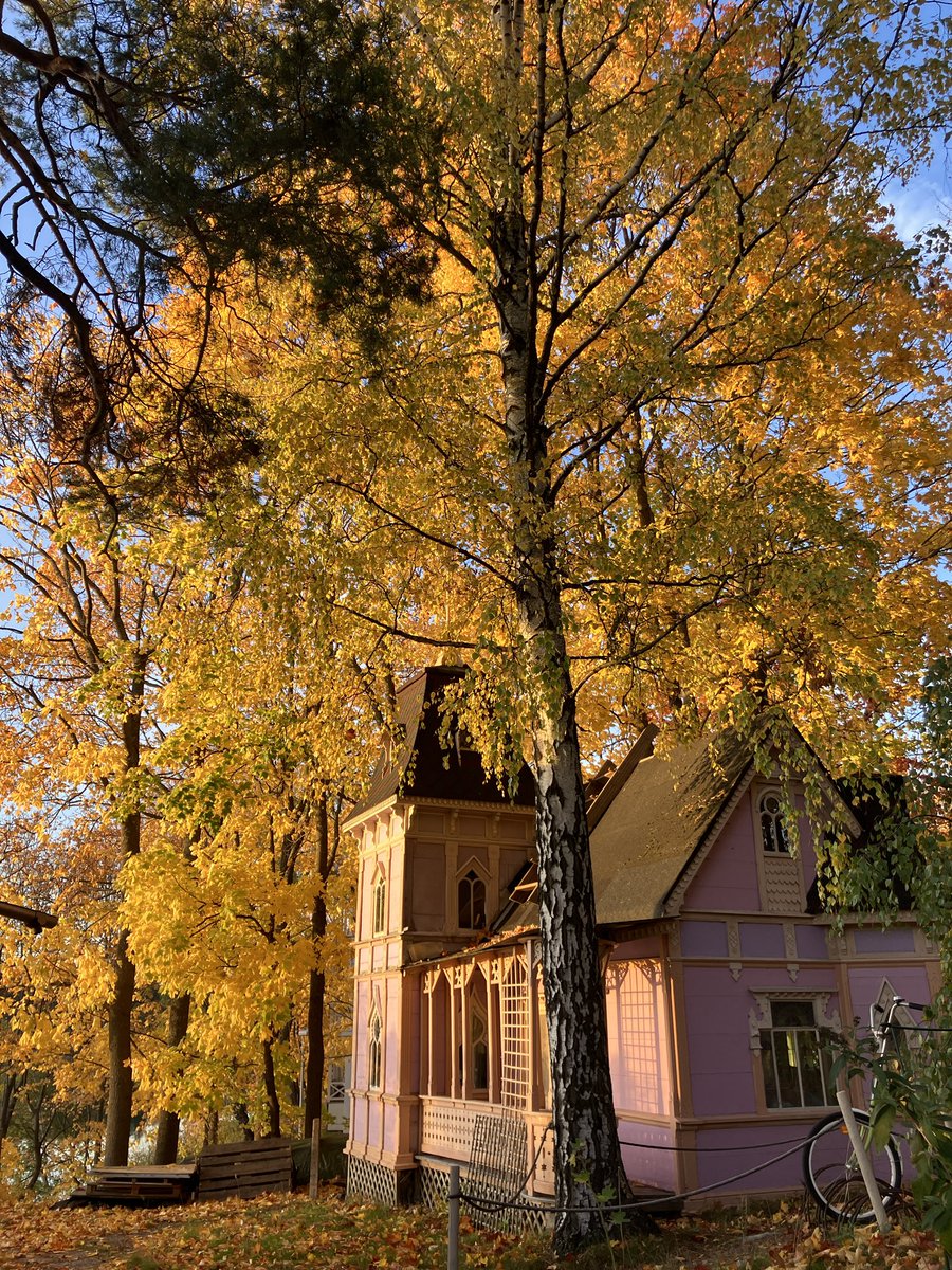 378_fin's tweet photo. フィンランド、秋も美しい🍁🇫🇮いままでこんなに紅葉が綺麗だと思ったことなかったけどフィンランドの紅葉はうっとりする https://t.co/gFwfP0fBbo