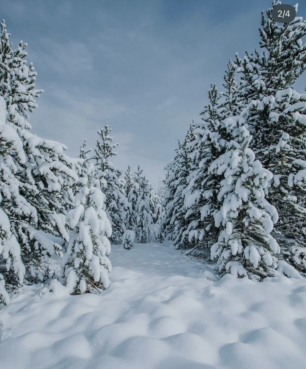 XMAS Bundles 🎄🎅🏼✨

In just a few weeks my town will look like this and I’m more than ready to start filming Christmas content! ☃️❄️

✏️Wanna work together? Get in touch!

🔗 ucgbydua.com/portfolio
💌 ugcbydua@gmail.com

#ugccommunity #UGCcreator #ugcbundle #ugcneeded #xmasugc