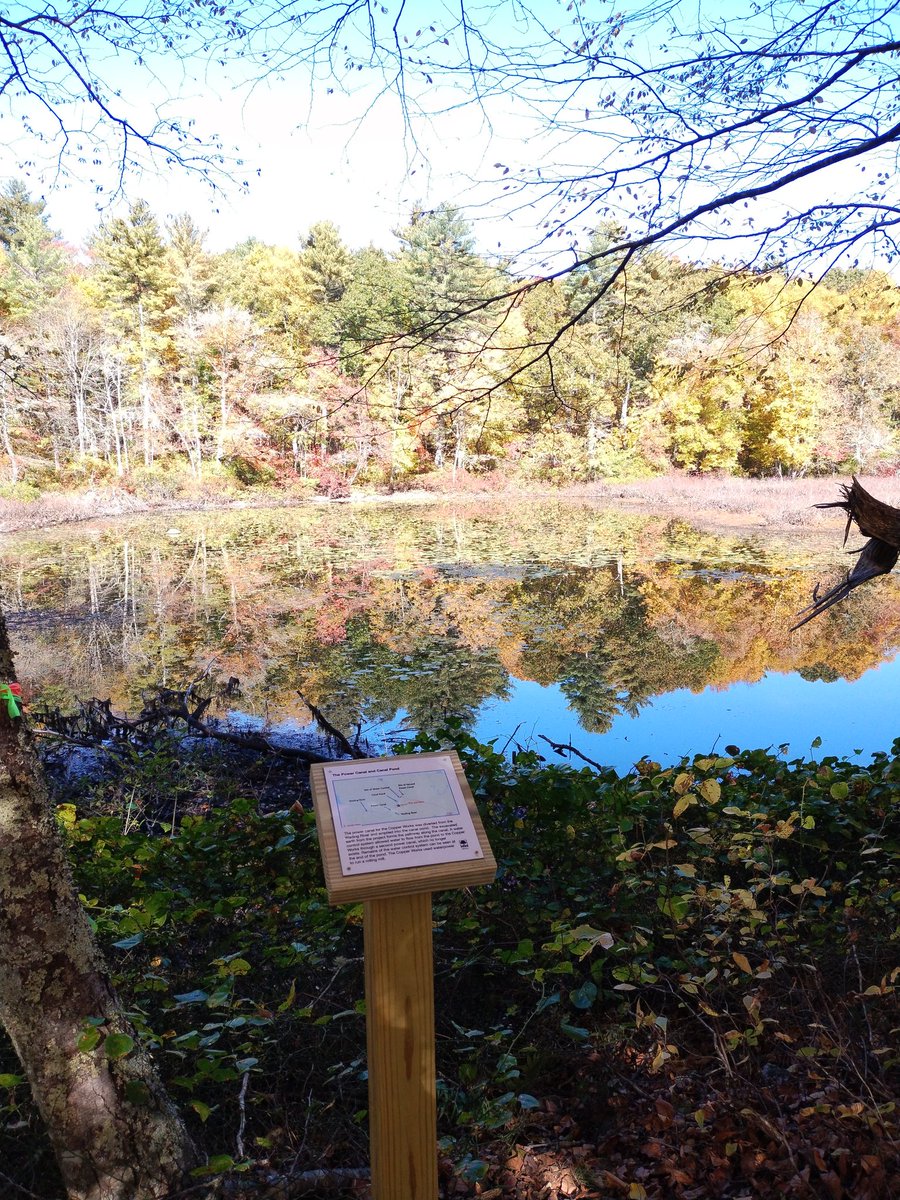 David Cuddington tweet media