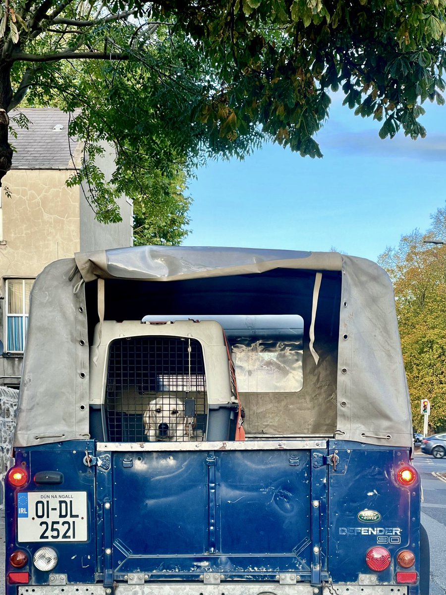 liyantwt's tweet photo. Marlborough Road, Dublin https://t.co/z1qcUJz84O