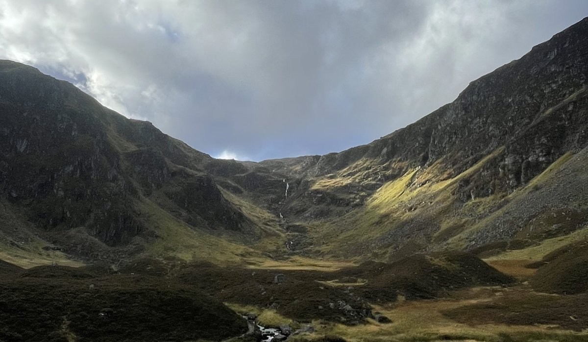 Prof Russell Petty tweet media