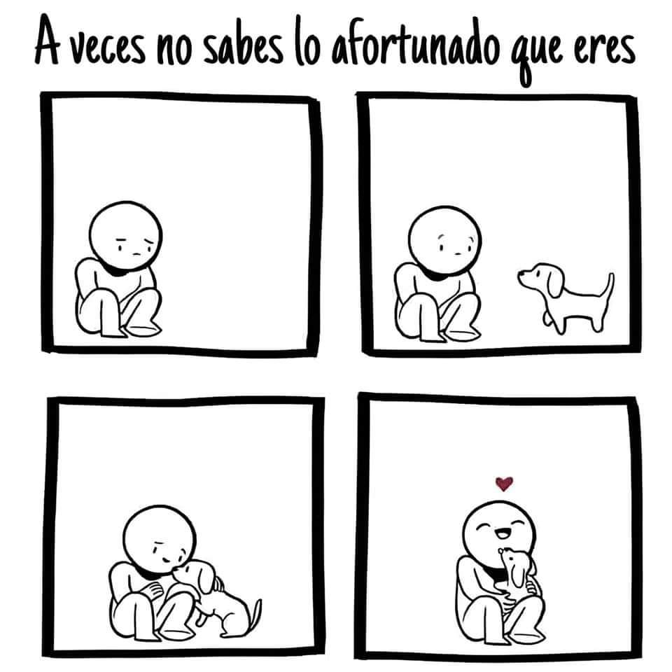 Sabueson's tweet photo. https://t.co/aH2Vh8KC5v