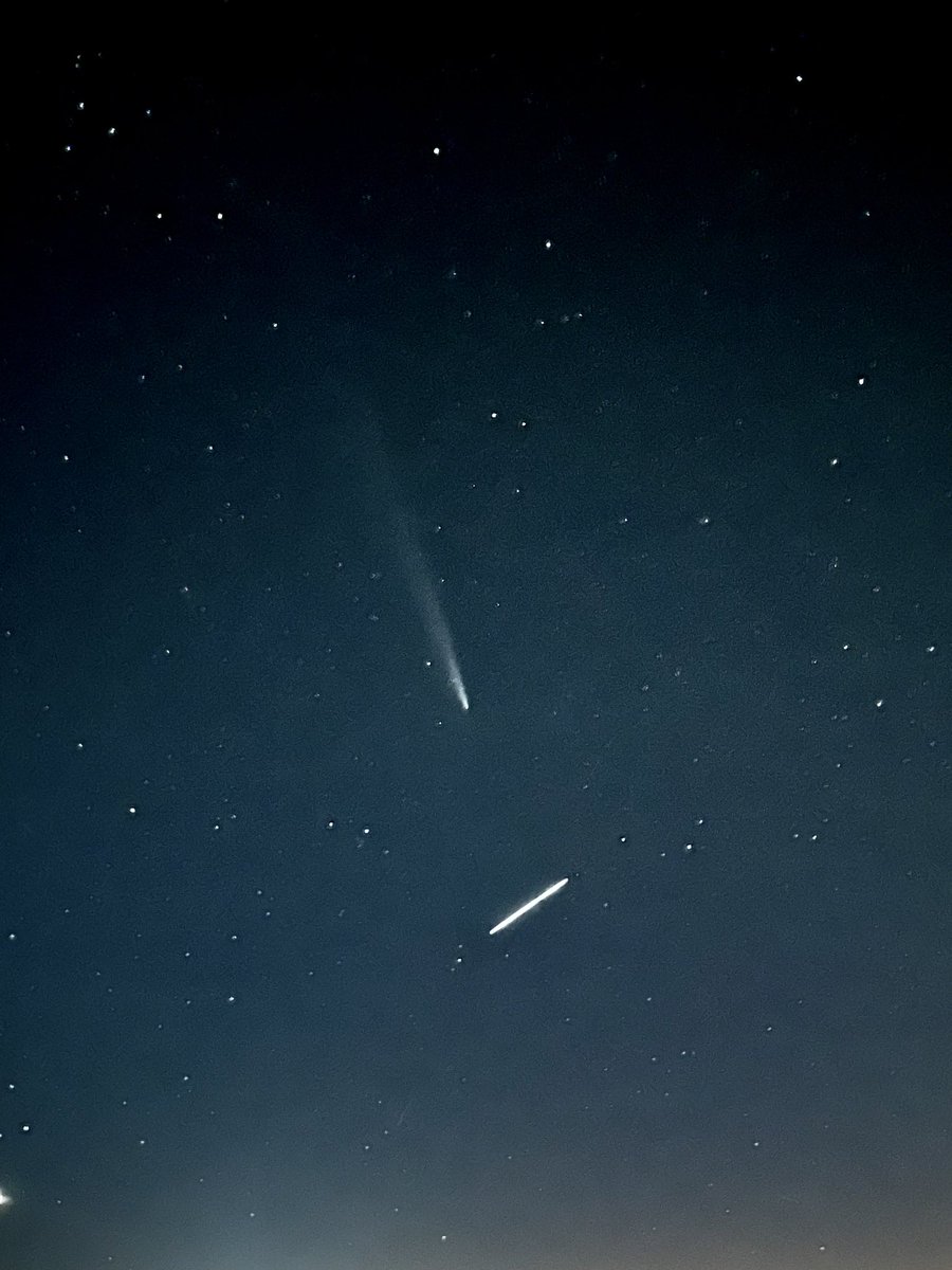 Starlink passing by C/2023 A3 (Tsuchinshan–ATLAS)
<a href="/elonmusk/">Elon Musk</a>