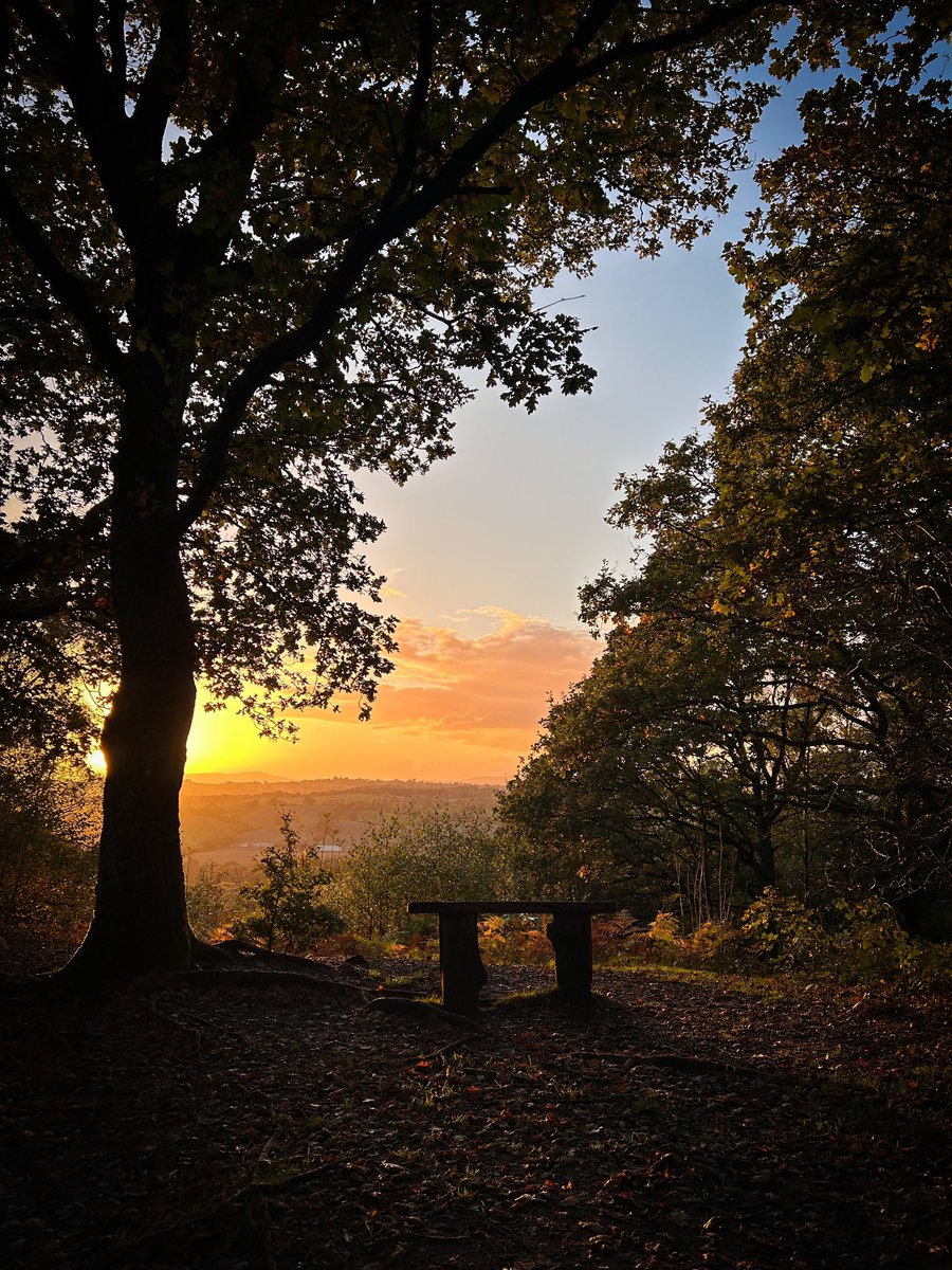 Joeynoble's tweet photo. What a beautiful evening in Kinver. So nice to meet so many people who just wanted to see the comet & to be able to show them was amazing! The sunset was a lovely highlight, not to mention the cows!! #kinver #staffordshire #kinveredge #photography https://t.co/Tdjxv59Rue