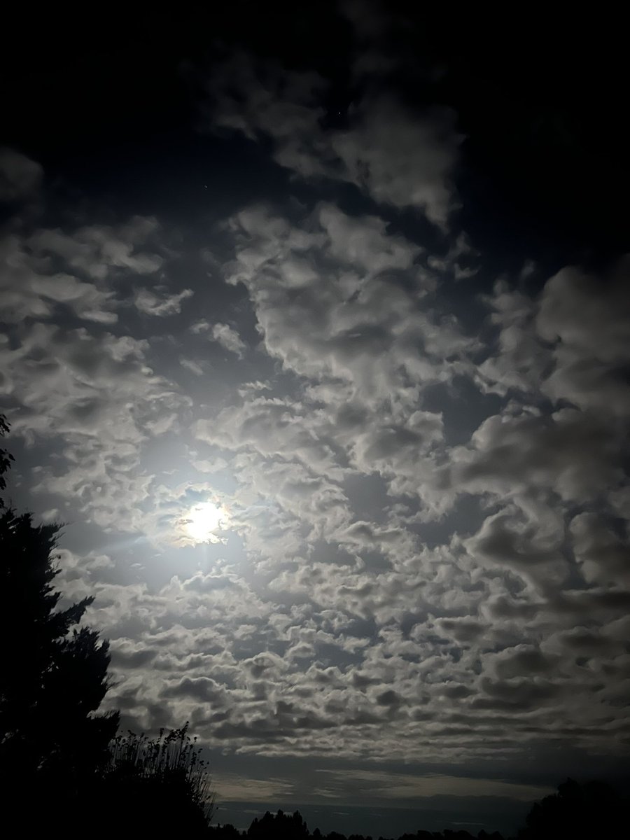 Bru40_r's tweet photo. Mon ciel cette nuit

#nature #clouds #sky #ciel #nuages #landes #moon https://t.co/pqLSai3xIL
