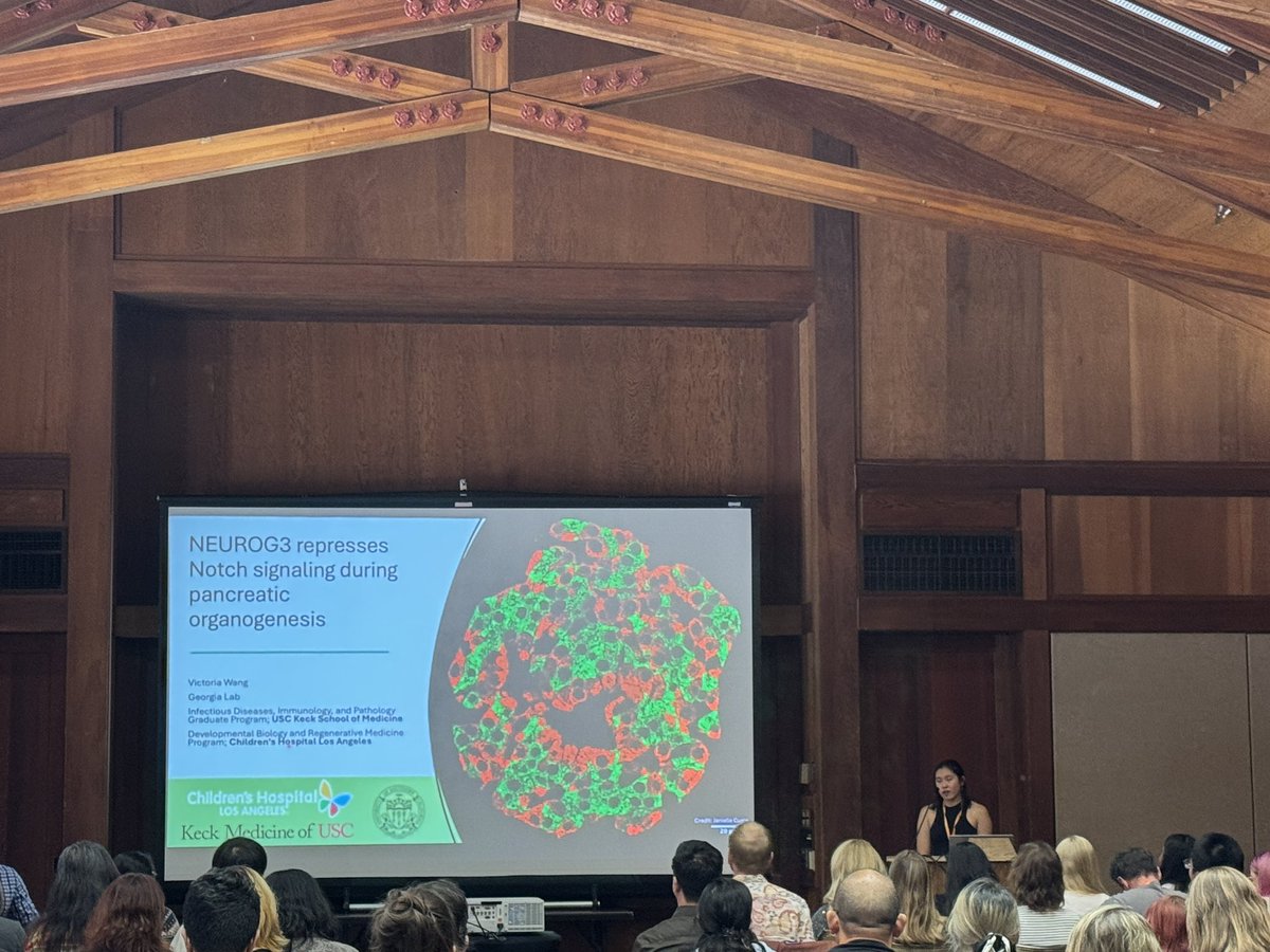 GeorgiaLab tweet media