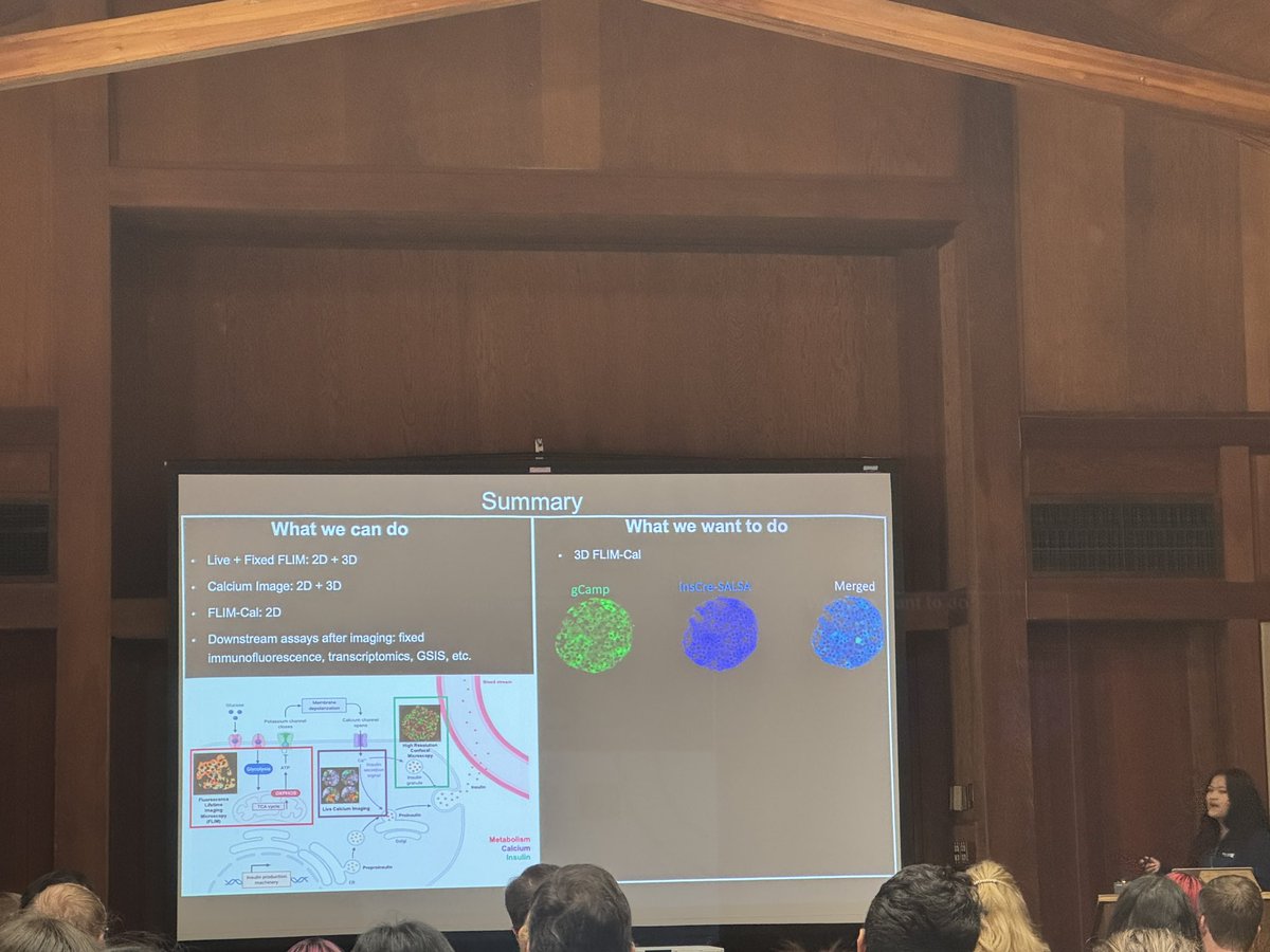 GeorgiaLab tweet media