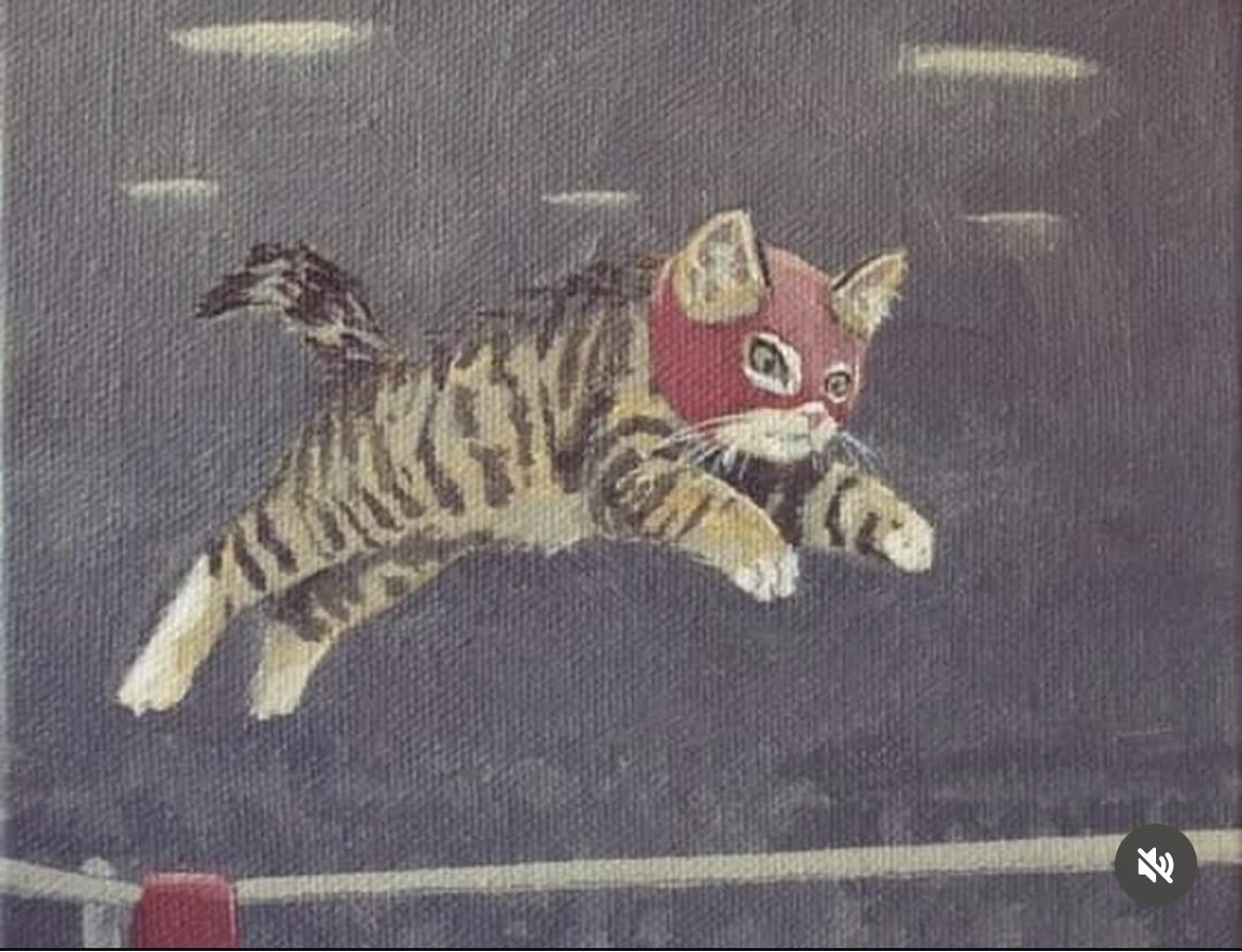 Dilo con gatitoz tweet media