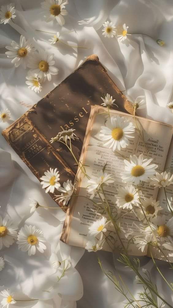 ❥~ⓢⓐⓑⓡⓔⓝ~❥ tweet media